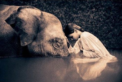 Unknown Artist Girl with the elephant